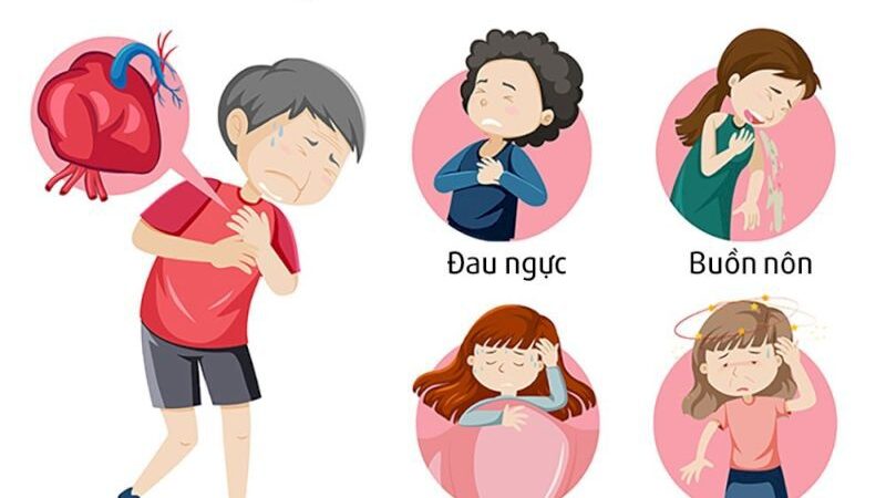 Tim đập chậm có nguy hiểm không? Một số lưu ý bạn nên biết