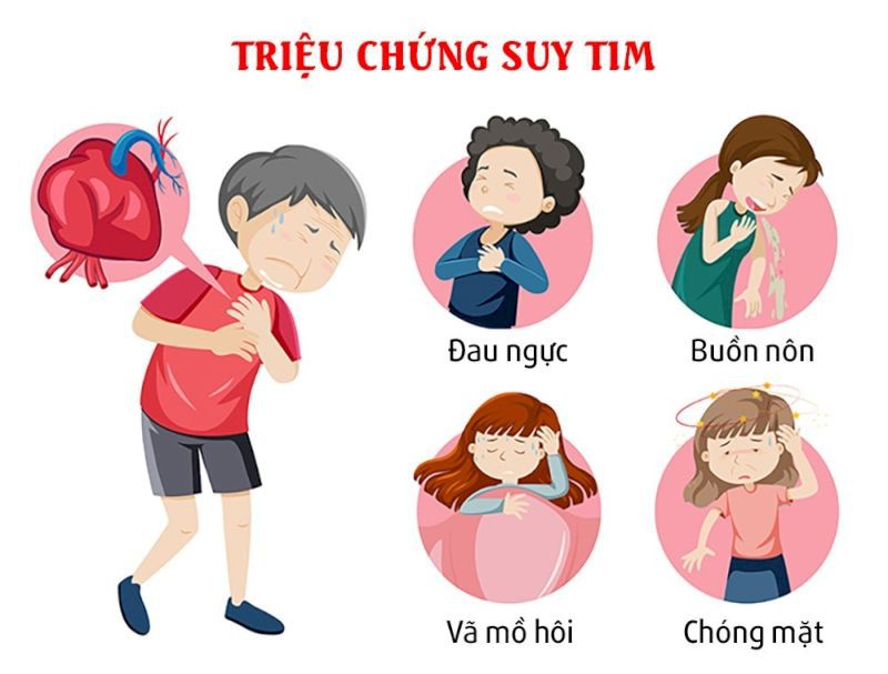 Tim đập chậm có nguy hiểm không? Một số lưu ý bạn nên biết